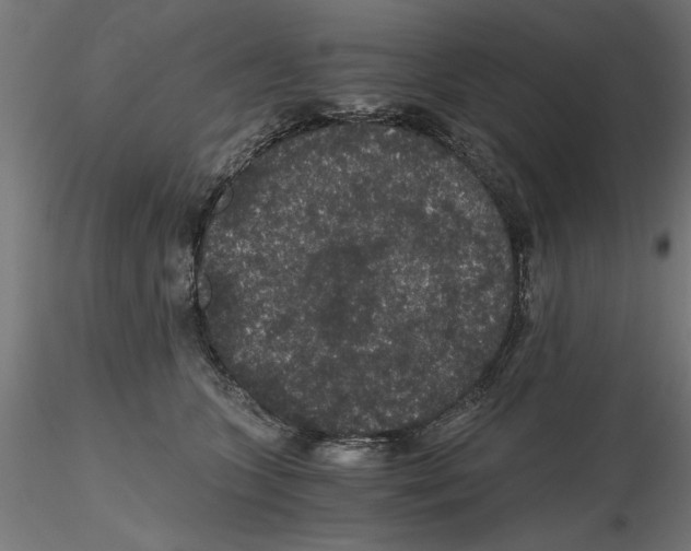 X0000116480563201001061122