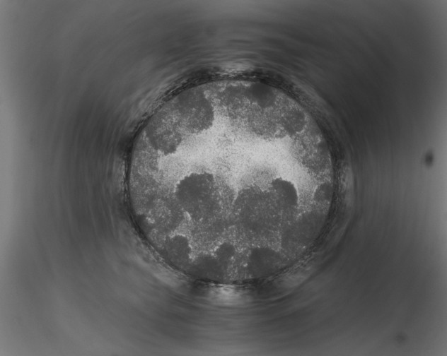 X0000116480565201001061122