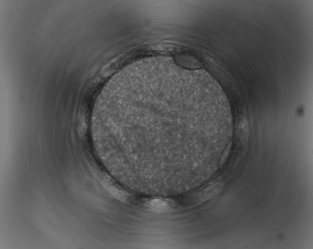 X0000116480566201001061122