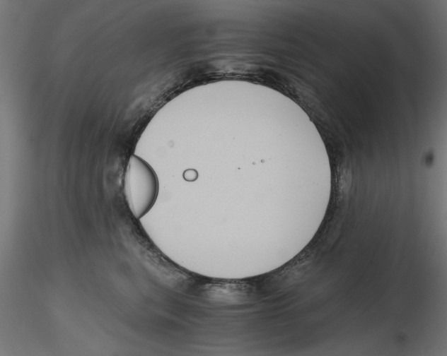 X0000116480567201001061122