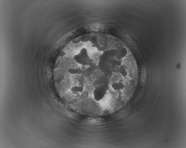 X0000116480569201001061122