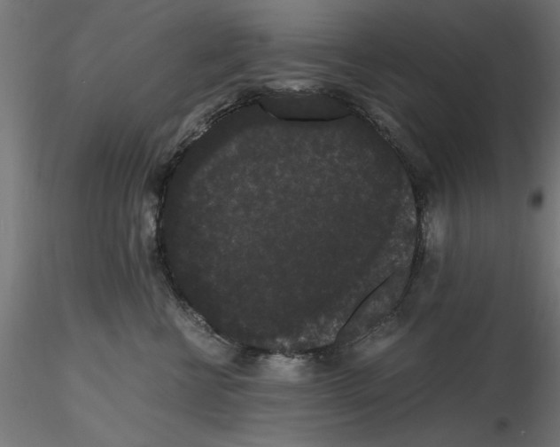 X0000116480570201001061122