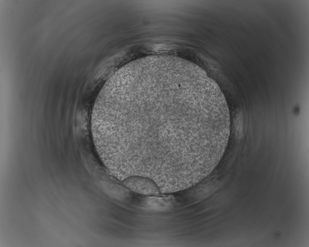 X0000116480571201001061122