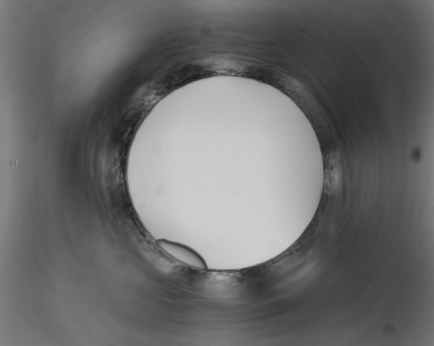 X0000116480573201001061122