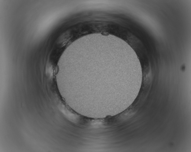 X0000116480574201001061122