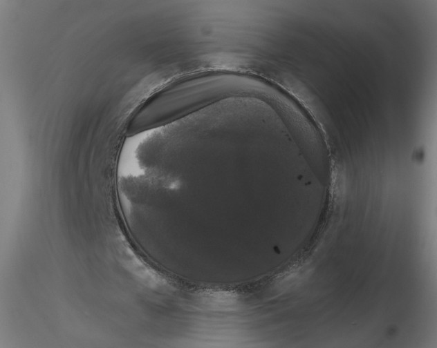 X0000116480577201001061122