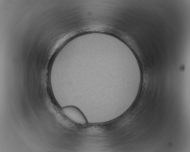 X0000116480578201001061122