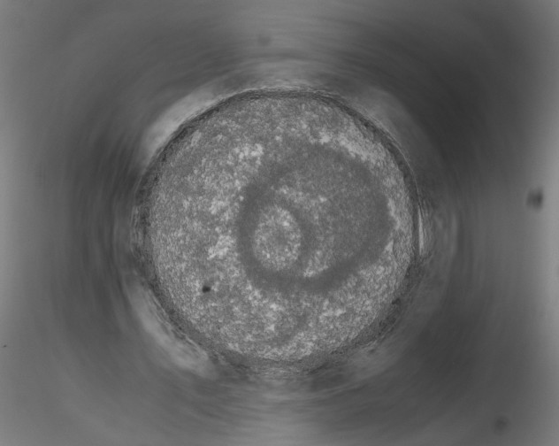 X0000116480579201001061122