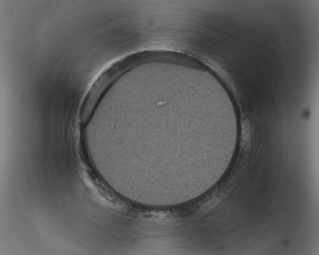 X0000116480580201001061122