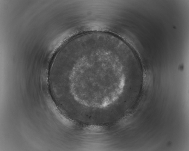 X0000116480581201001061122