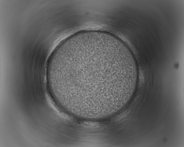 X0000116480582201001061122