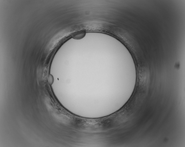 X0000116480583201001061122