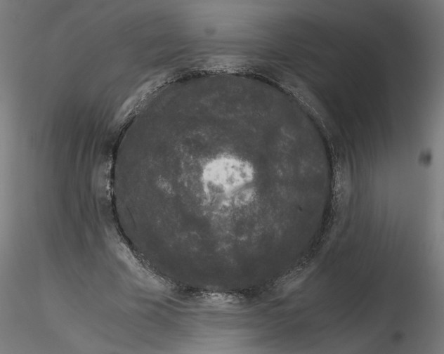 X0000116480585201001061122