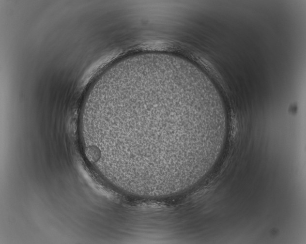 X0000116480586201001061122