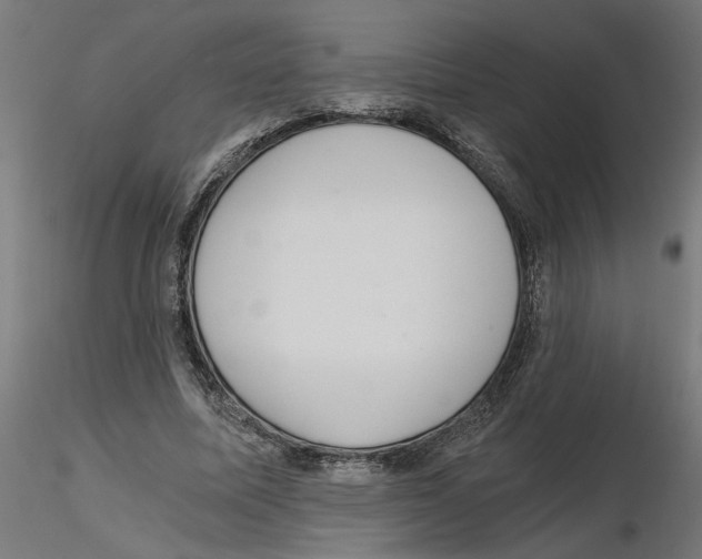 X0000116480587201001061122