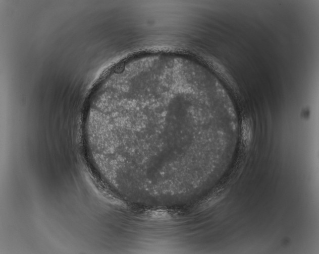 X0000116480588201001061122