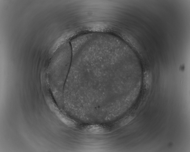 X0000116480589201001061122