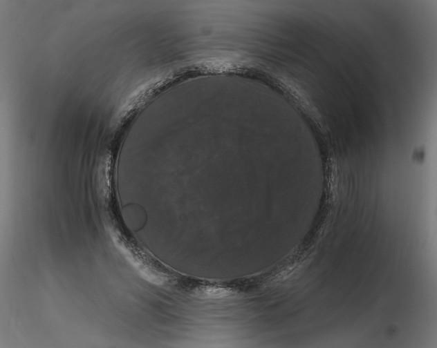 X0000116480590201001061122