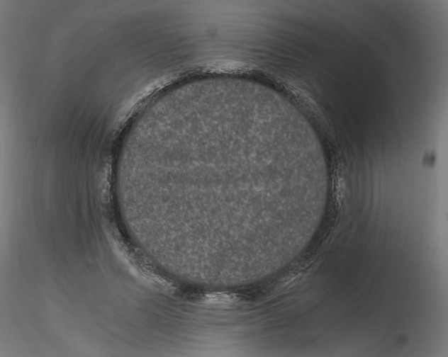 X0000116480591201001061122