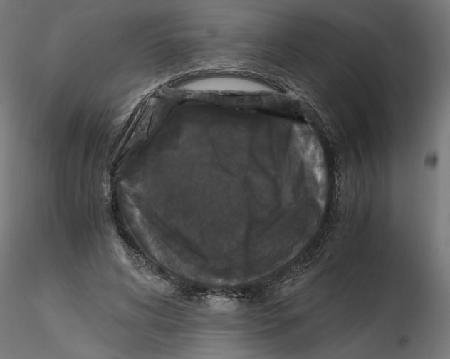 X0000116480592201001061122