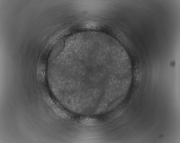 X0000116480593201001061122