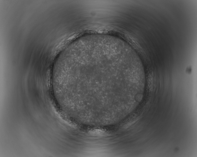 X0000116480594201001061122