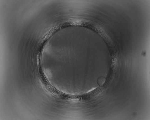 X0000116480598201001061122