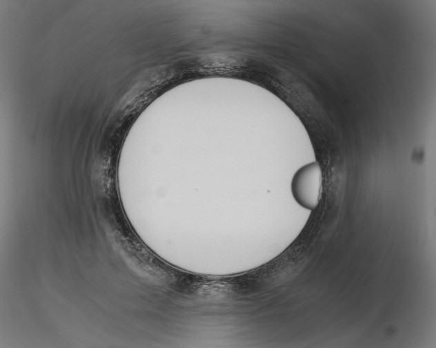 X0000116480599201001061122