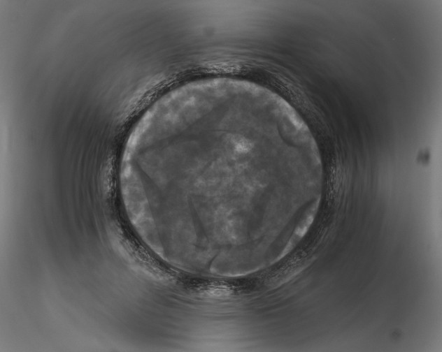 X0000116480600201001061121