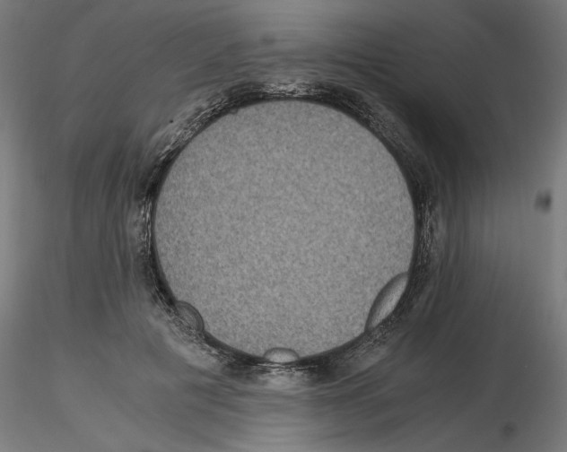 X0000116480601201001061121