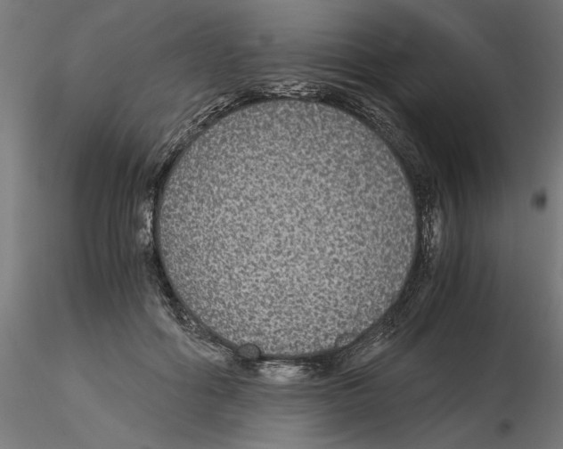 X0000116480602201001061121