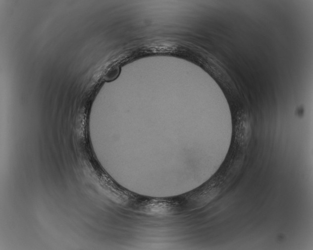 X0000116480604201001061121