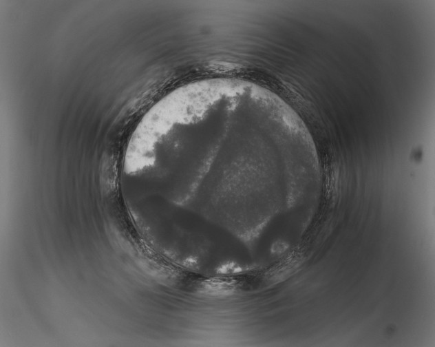 X0000116480606201001061121