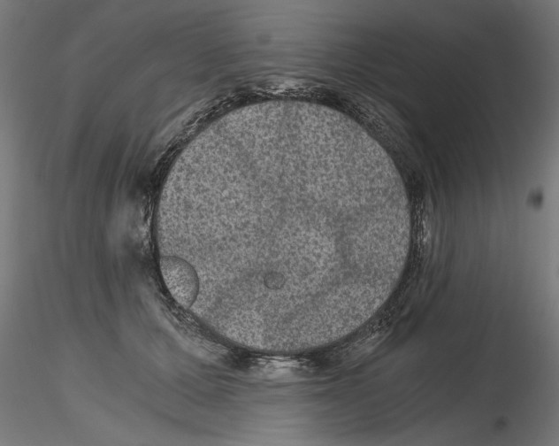 X0000116480607201001061121