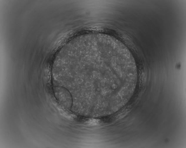 X0000116480609201001061121