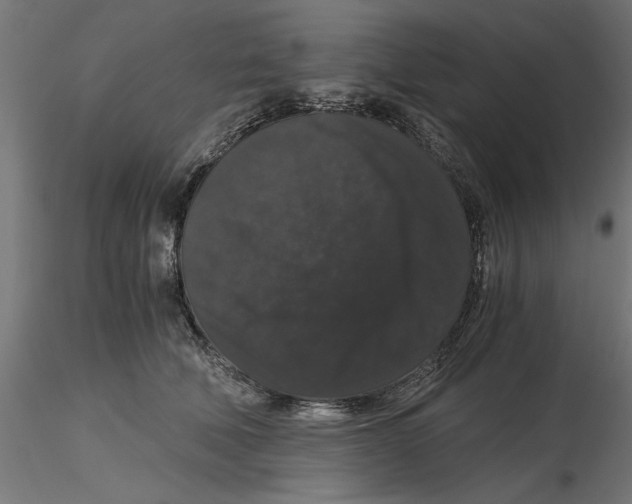 X0000116480610201001061121