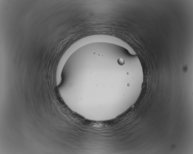 X0000116480611201001061121