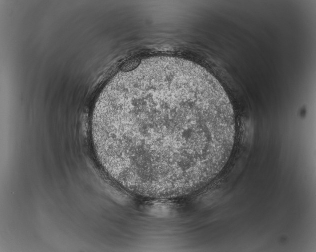 X0000116480612201001061121