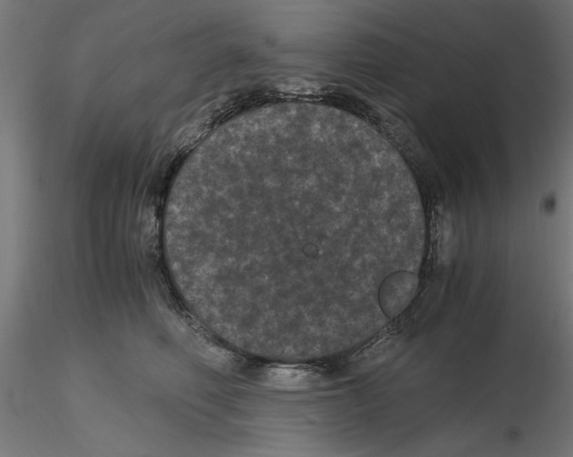 X0000116480614201001061121