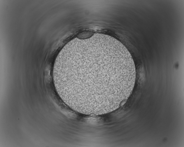 X0000116480615201001061121