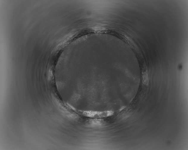 X0000116480618201001061121