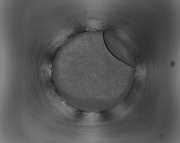 X0000116480621201001061121