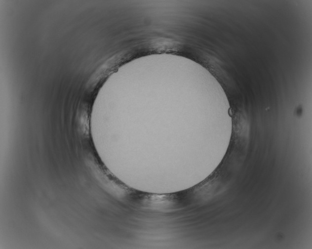 X0000116480622201001061121