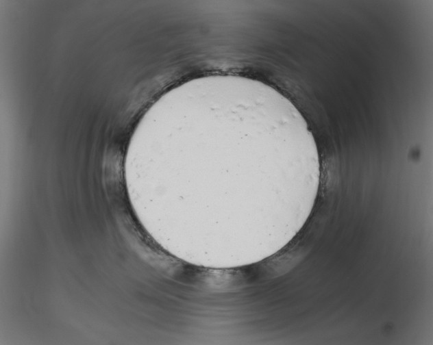 X0000116480623201001061121