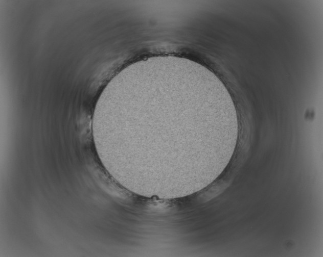 X0000116480624201001061121