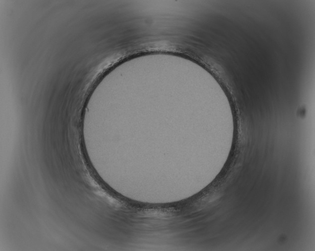 X0000116480625201001061121