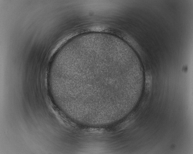 X0000116480626201001061121