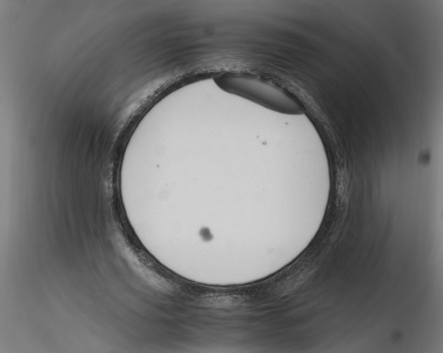 X0000116480629201001061121