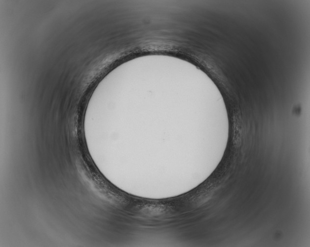 X0000116480631201001061121