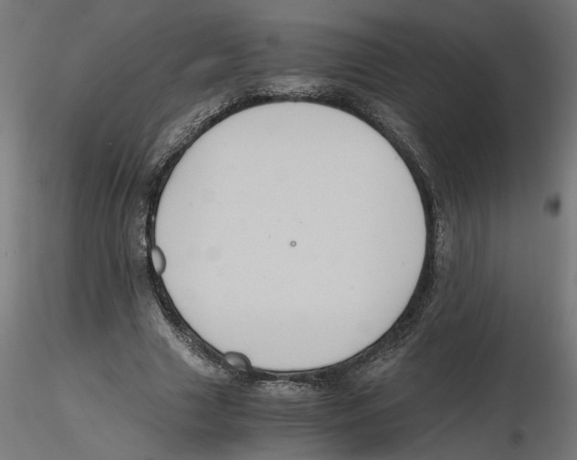 X0000116480633201001061121